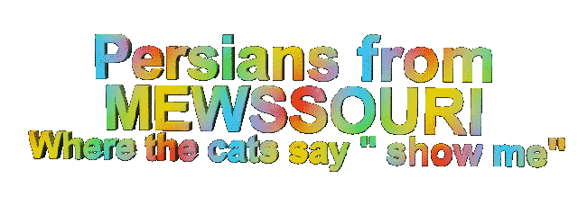 Persians from Mewssouri