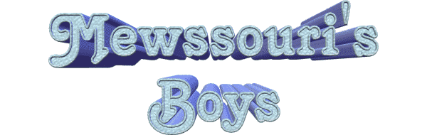 boysbr6b.gif - 21378 Bytes