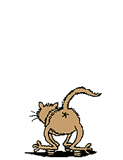 cat2.gif - 10216 Bytes