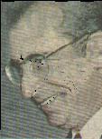 Zedillo