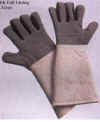 Gloves.jpg (79674 bytes)