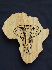 Africa elephant