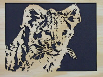 Lion cub