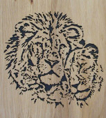 Lions