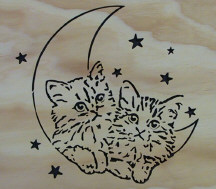 Cats on moon