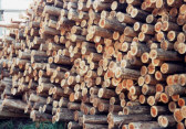 Logs