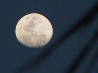Moon