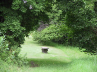 The Nest