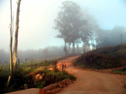Misty