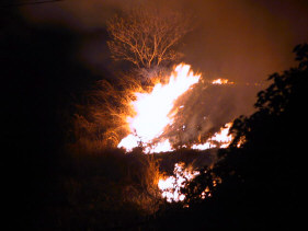Fire