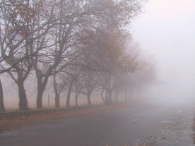 Mist