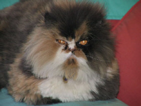 Laverne