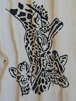 Giraffes
