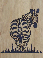 Zebra