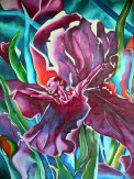 iris & ballerina 