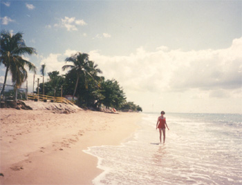 beach