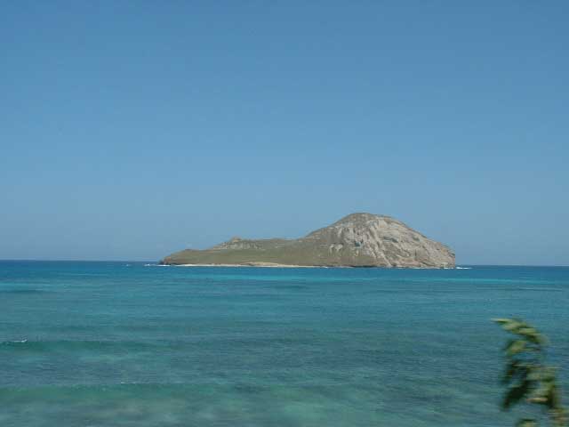 island_cruising_d.jpg