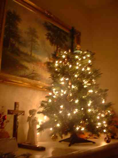 DSCF0073.jpg