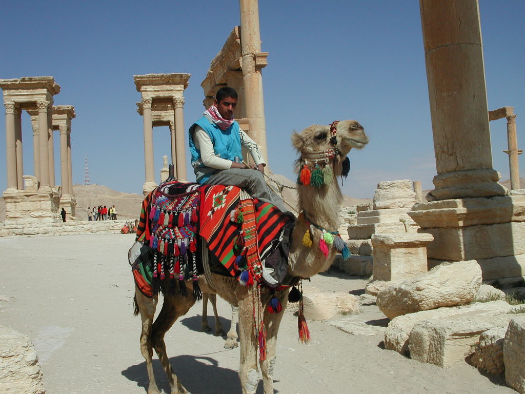 Palmyra. Wanna ride?