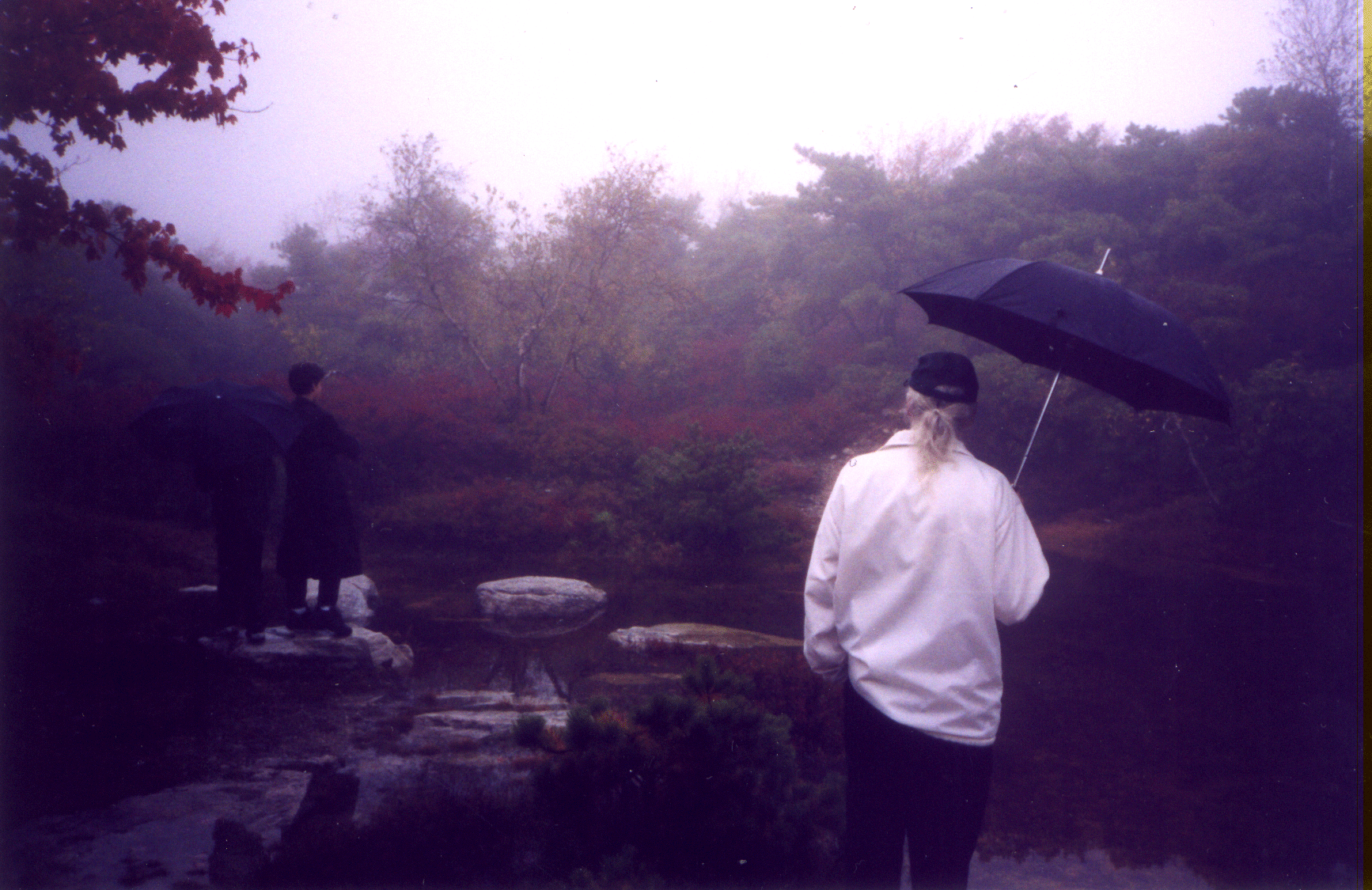 pond.gif