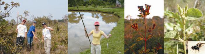 Field and Lab work