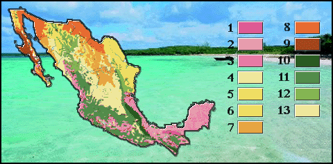 Distribuci�n de los Climas en la Rep�blica Mexicana