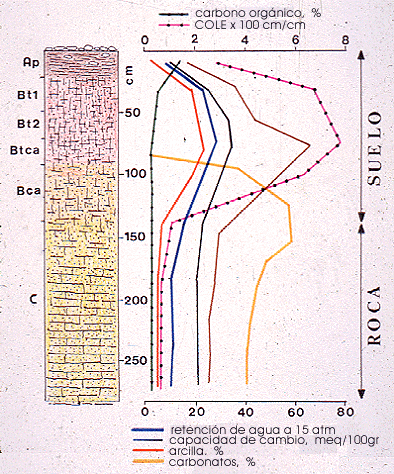 Nomenclatura