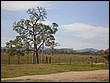 P8010003.JPG