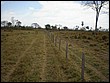 P8010023.JPG