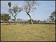 P8010060.JPG