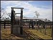 P8010068.JPG