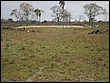P8010088.JPG