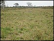 P8010090.JPG