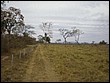 P8010101.JPG