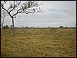 P8010102.JPG