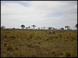 P8010113.JPG