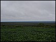 DSC04375.JPG