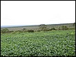 DSC04376.JPG