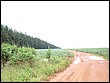 DSC04385.JPG