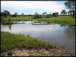 fotos842.18haMT (1).jpg