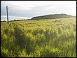 fotos842.18haMT (12).jpg