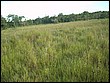 fotos842.18haMT (13).jpg
