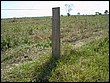 fotos842.18haMT (16).jpg