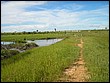 fotos842.18haMT (2).jpg
