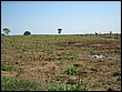 fotos842.18haMT (20).jpg