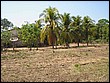 fotos842.18haMT (22).jpg