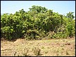 fotos842.18haMT (23).jpg