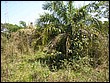 fotos842.18haMT (26).jpg