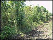 fotos842.18haMT (27).jpg
