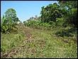 fotos842.18haMT(29).jpg